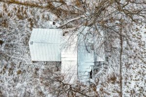 The Ethical Debate Surrounding Gentrification and Property Values