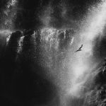 Exploring the Transformative Power of Remote Work Opportunities