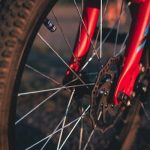 How to Choose the Right Foreign Language Program for Your Child