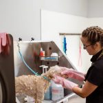 Exploring the Benefits of Working with a Professional Stylist