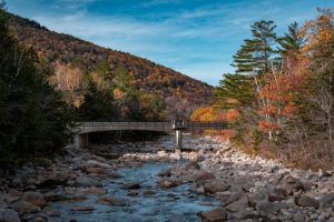 How to Choose the Right Travel Water Filter