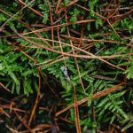 How to Successfully Transition Your Wardrobe Between Seasons