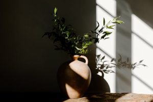 Mastering the Art of Negotiating Lower Home Insurance Premiums