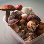 Understanding the Difference Between Organic and Natural