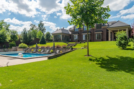 Exploring the World of Real Estate Auctions and Bidding Wars