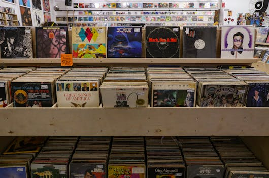 The Best Practices for Storing and Protecting Vinyl Records