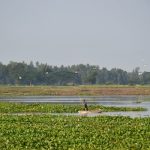 Navigating the Gig Economy: Freedom or Instability?