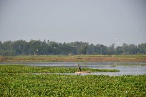 Navigating the Gig Economy: Freedom or Instability?