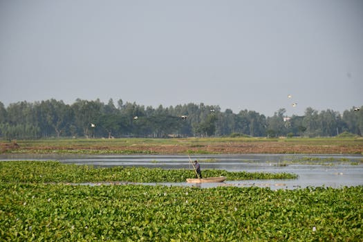 Navigating the Gig Economy: Freedom or Instability?