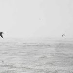 Simple Ways to Turn Travel Experiences Into Stories