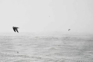 Simple Ways to Turn Travel Experiences Into Stories