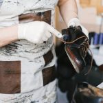 Simple Ways to Give Your Shoes a Professional Shine
